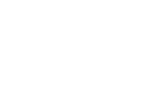 Texas Fertility Center Logo (TFC)